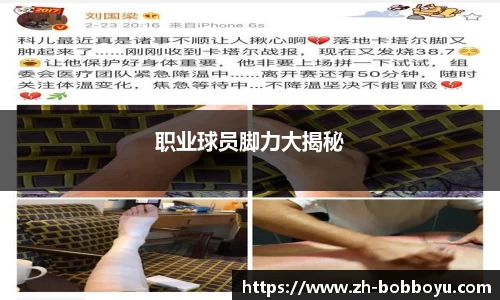 bob博鱼体育官方网站