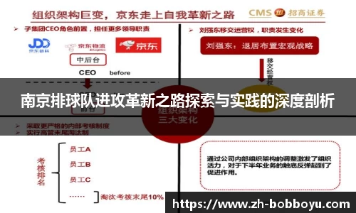 南京排球队进攻革新之路探索与实践的深度剖析